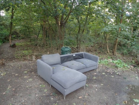 Sofa am Waldrand